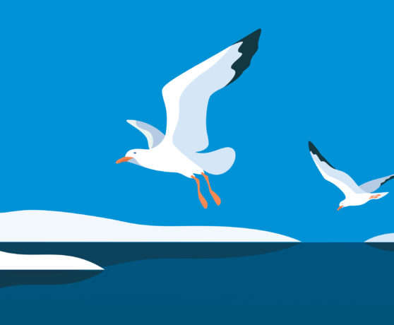 Anniversary Weekend 2026